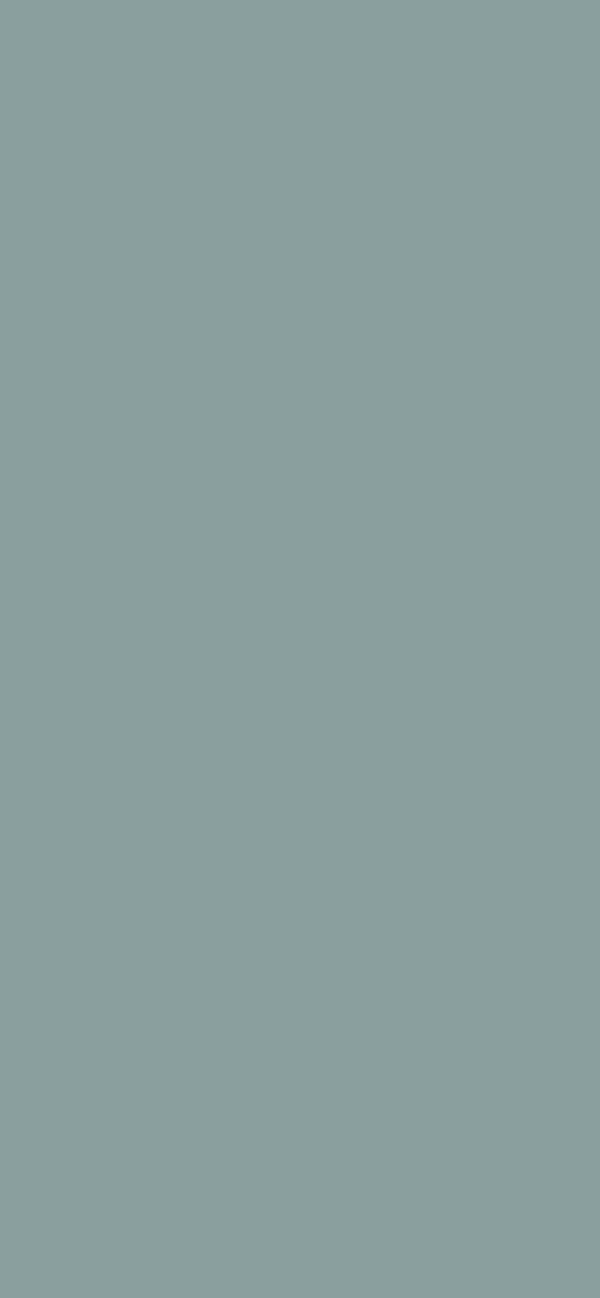 #8A9F9E color image