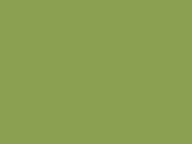 #8BA050 color image