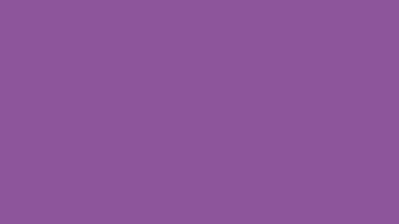 #8D559B color image