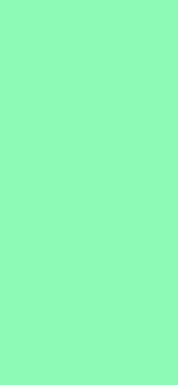 #8DFAB5 color image