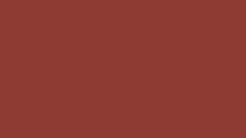 #8E3B34 color image