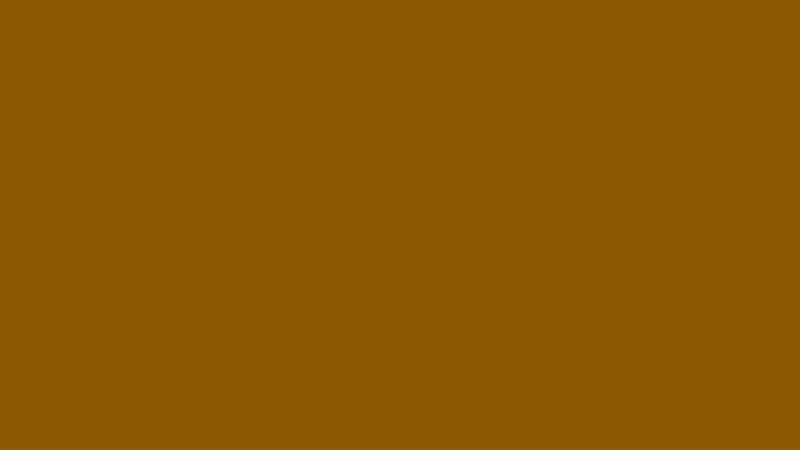 #8E5905 color image
