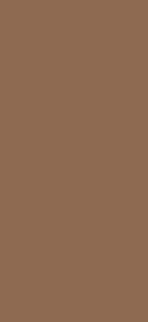 #8E6A51 color image