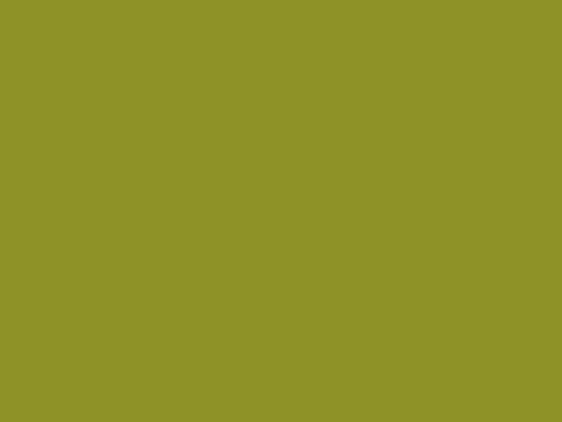 #8E9227 color image