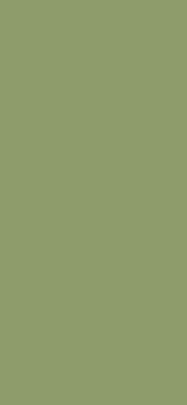 #8E9B6A color image