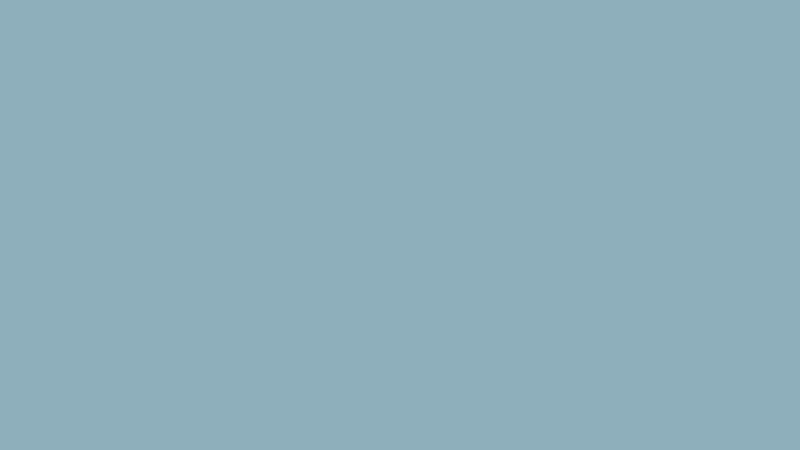 #8EAFBB color image