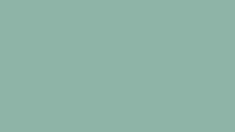 #8EB4A7 color image