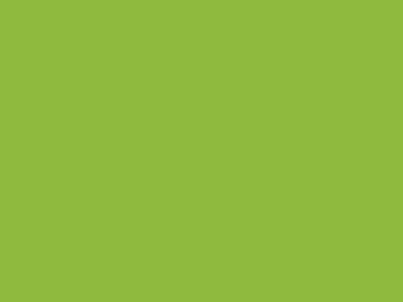 #8FBA3E color image