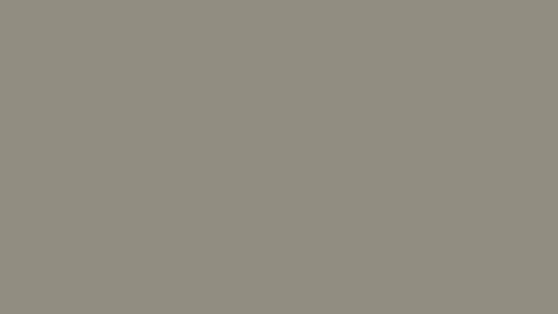 #918D81 color image