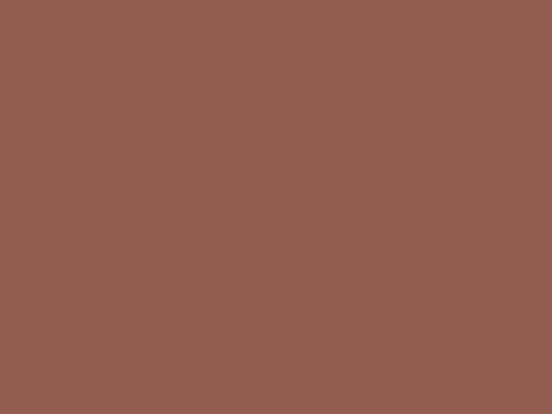 #935C50 color image