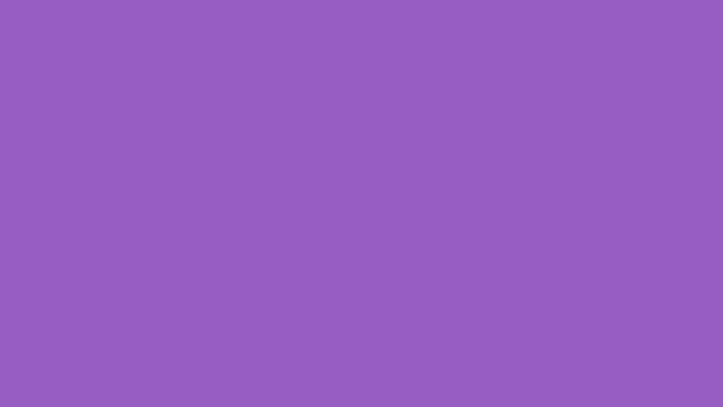 #985DC3 color image
