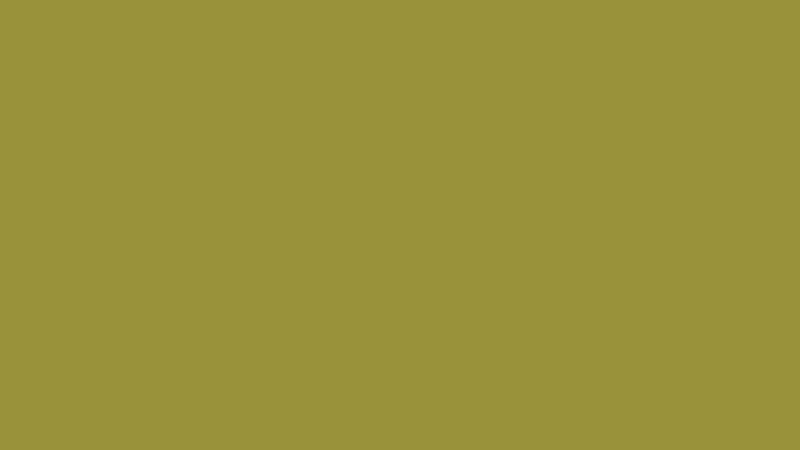 #9A913B color image