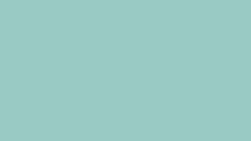 #9ACAC4 color image
