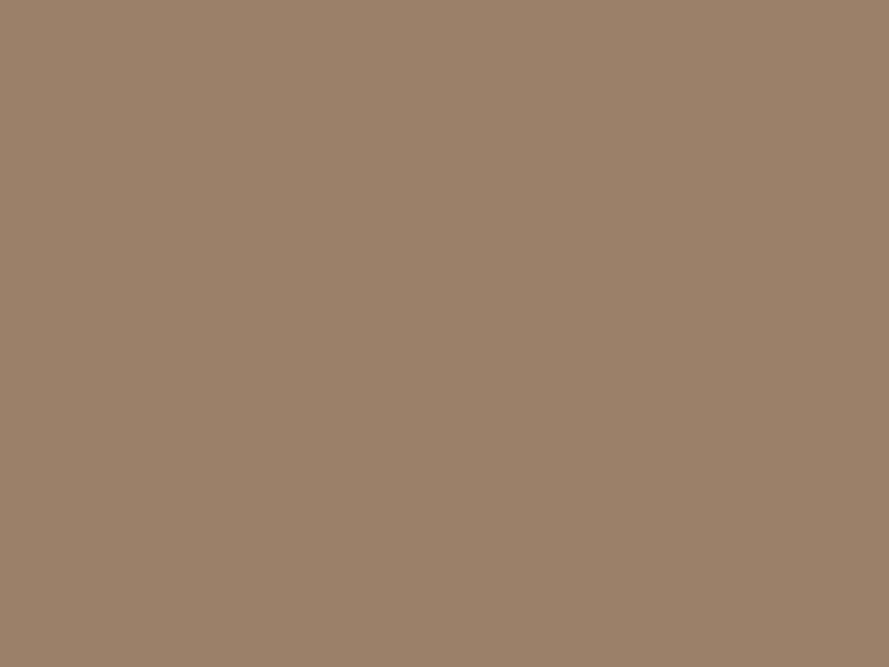 #9B8069 color image