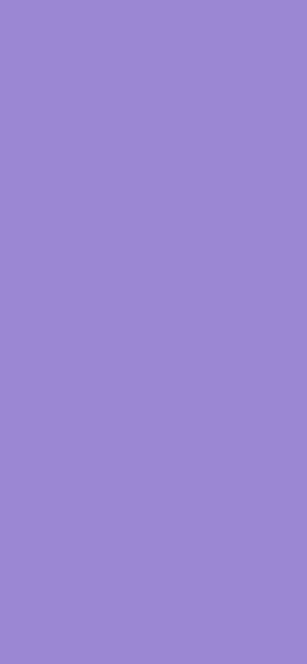 #9B87D3 color image