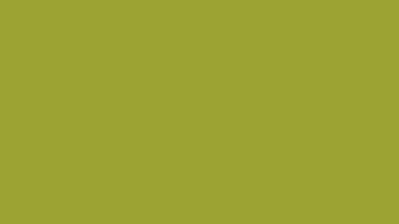 #9CA22F color image