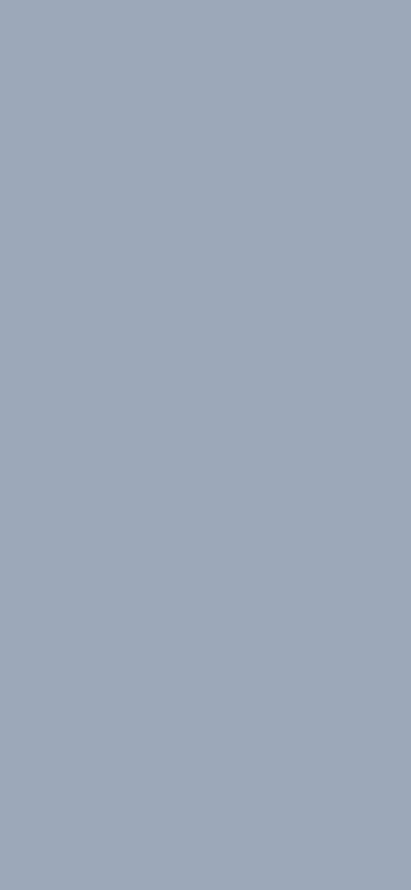 #9CA8B9 color image