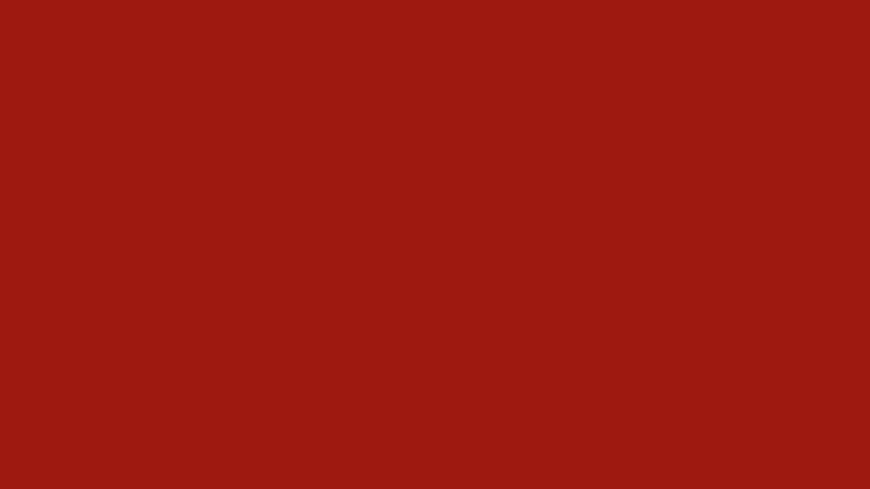 #9E190F color image