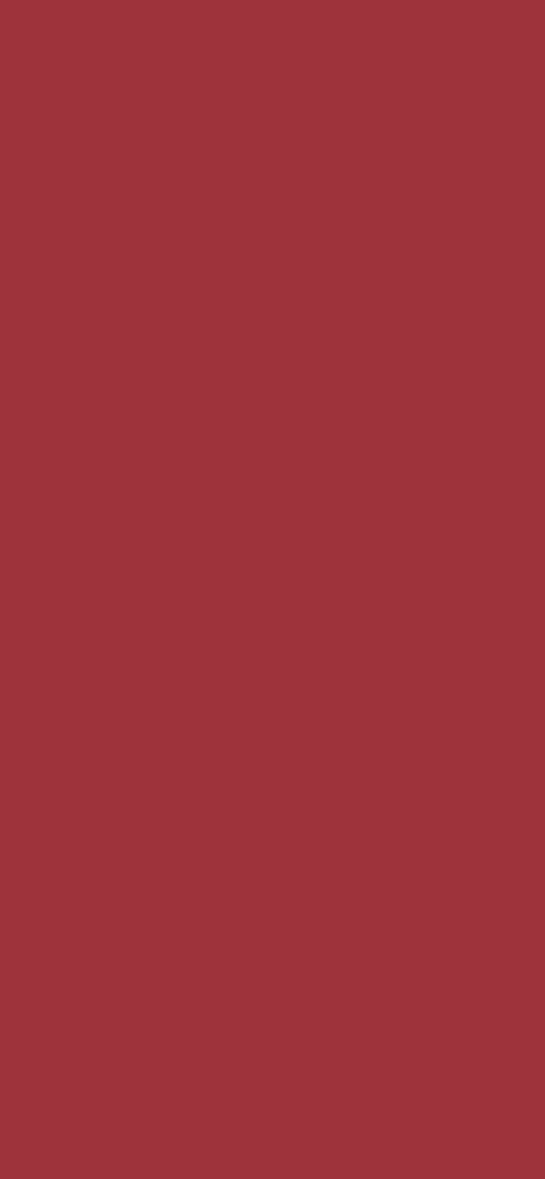 #9E333B color image
