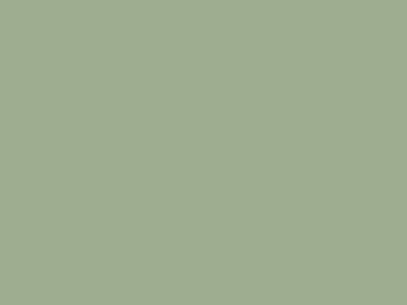 #9EAC90 color image