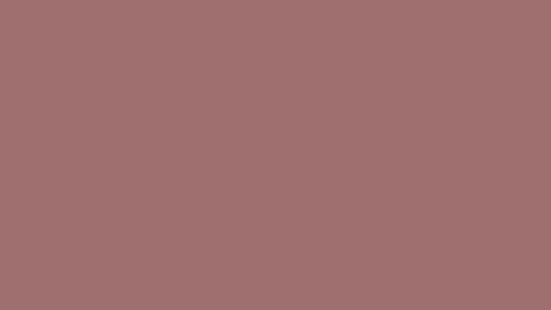 #9F6F6F color image