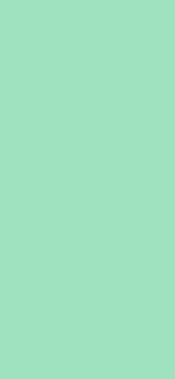 #9FE2BF - Sea Foam Green color image