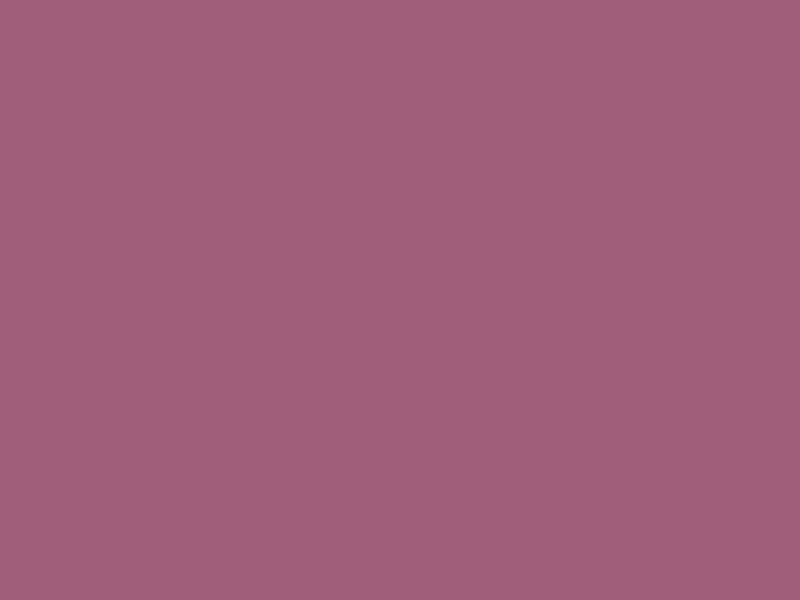 #A05E7A color image