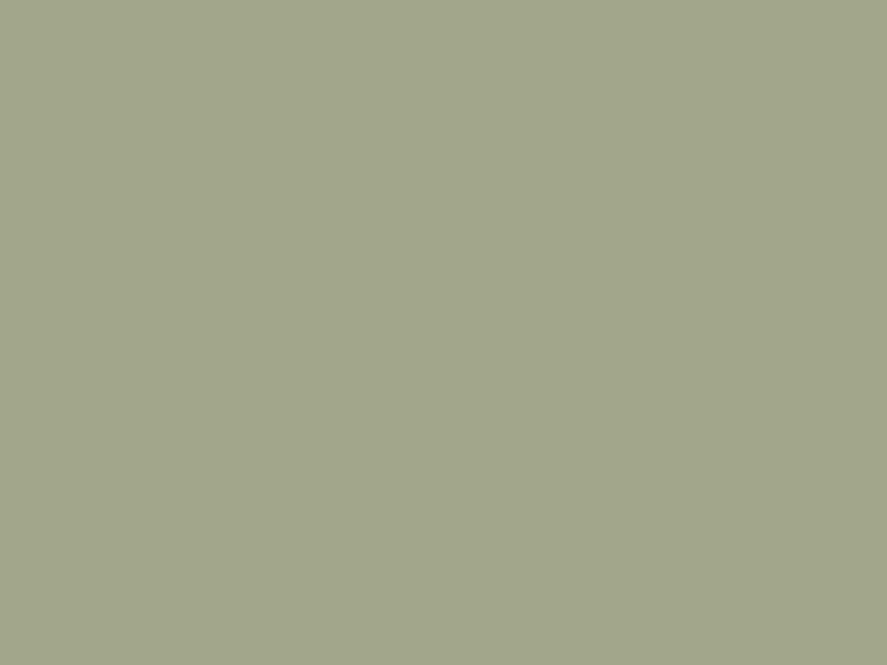 #A0A78A color image