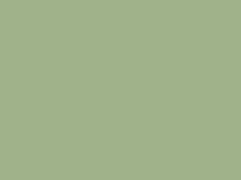 #A0B28A color image