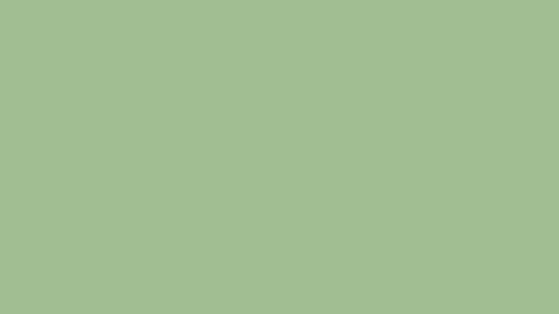 #A0BD92 color image