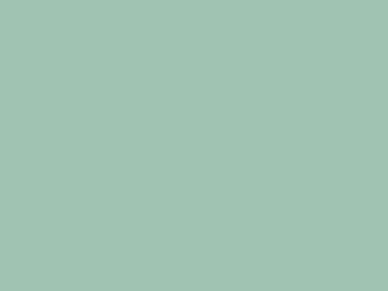 #A0C3B2 color image