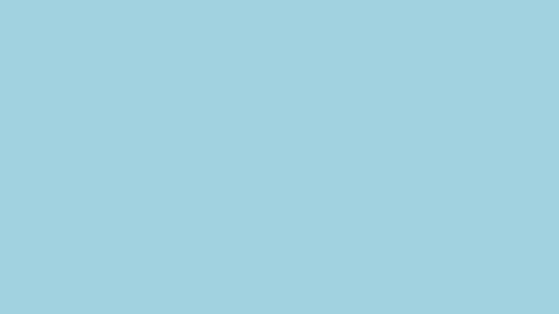 #A0D2DF color image