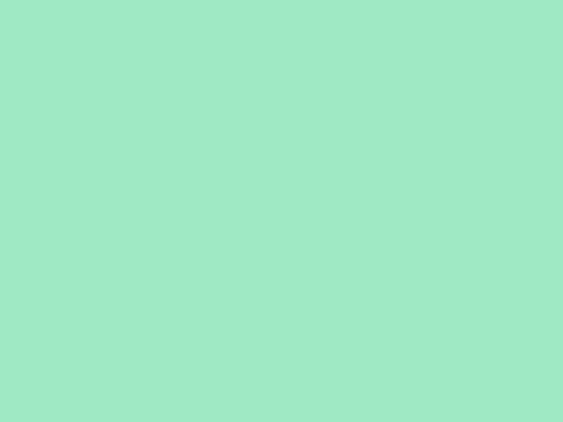 #A0E7C6 color image