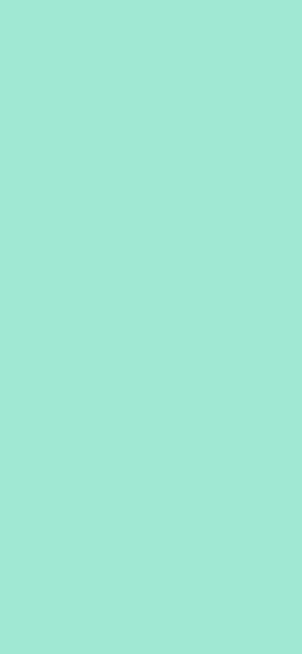 #A0E8D3 color image