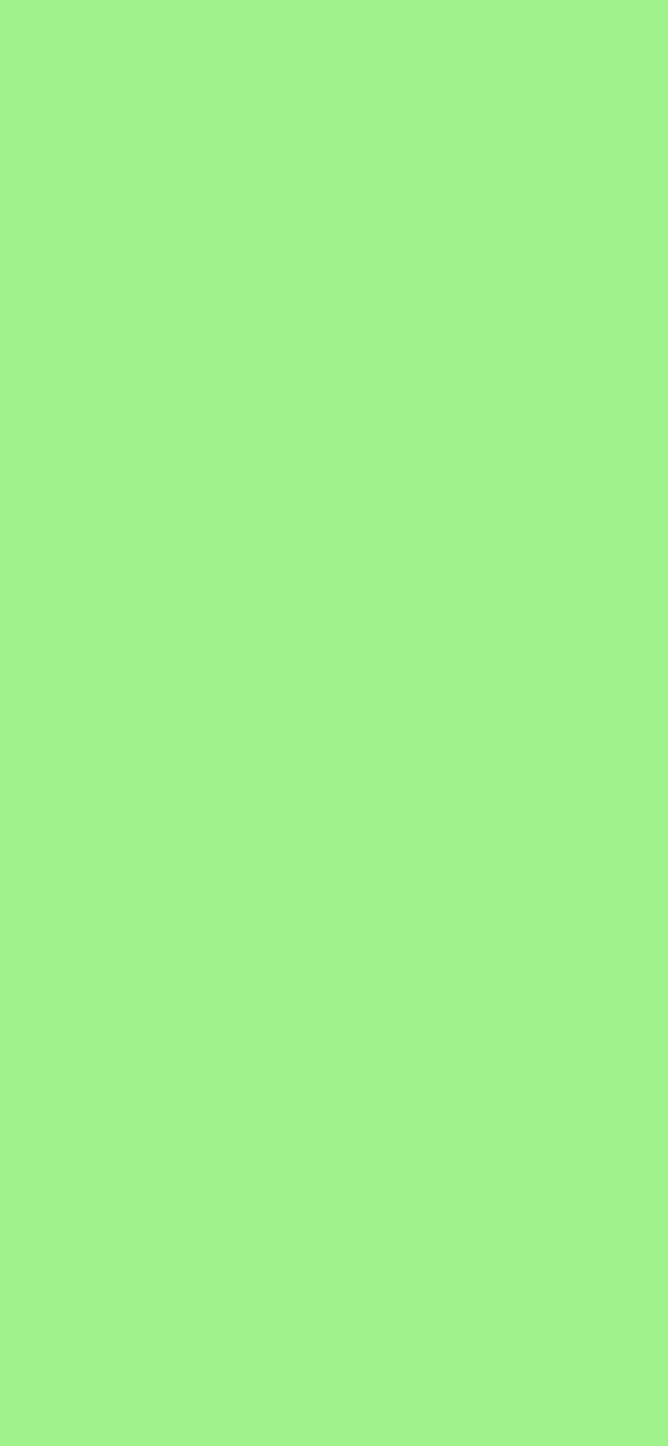 #A0F38C color image