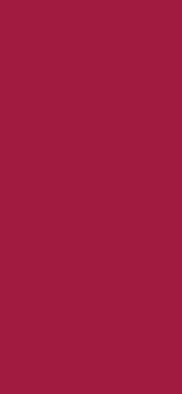 #A11A3F color image