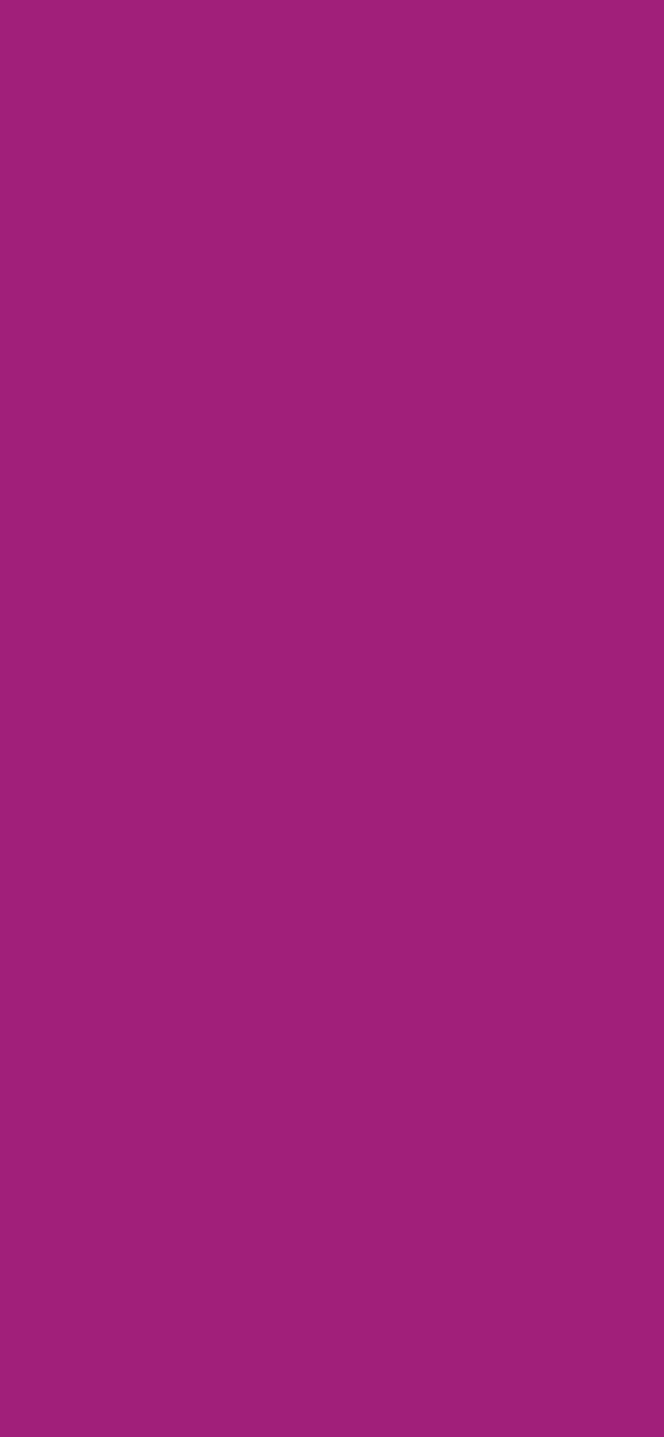 #A11F7A color image