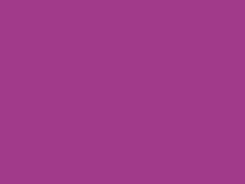 #A13A8A color image