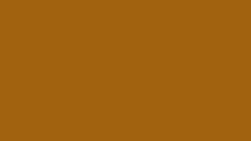 #A1620F color image