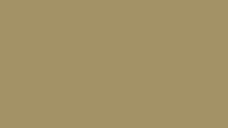 #A29266 color image