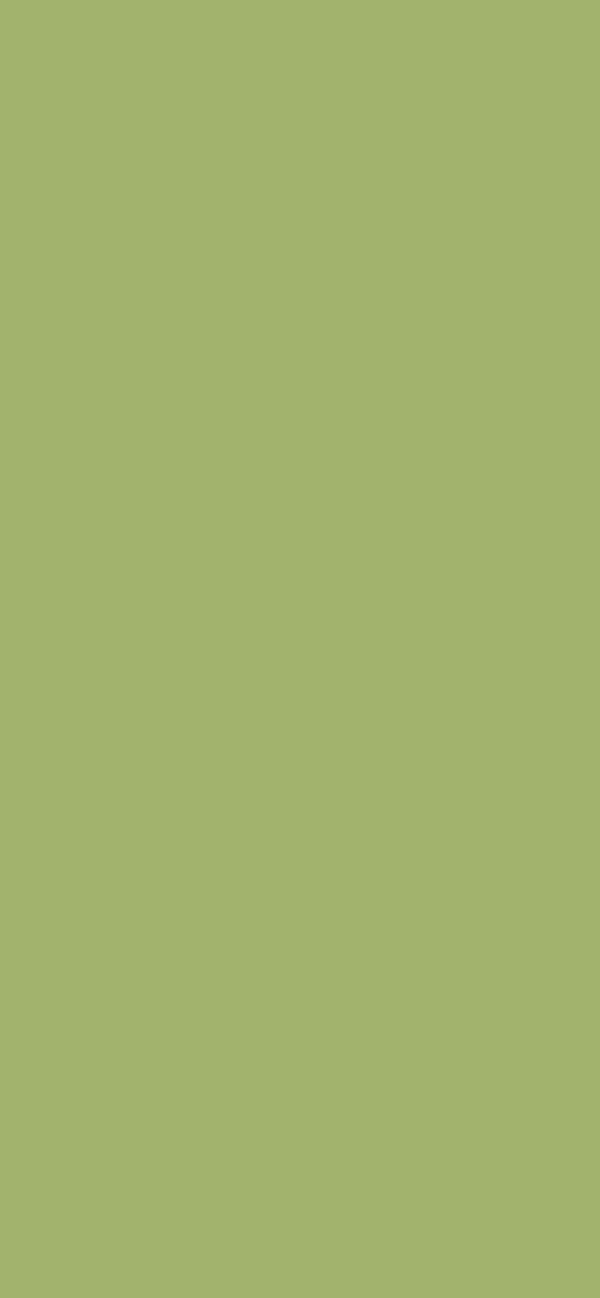 #A2B36D color image