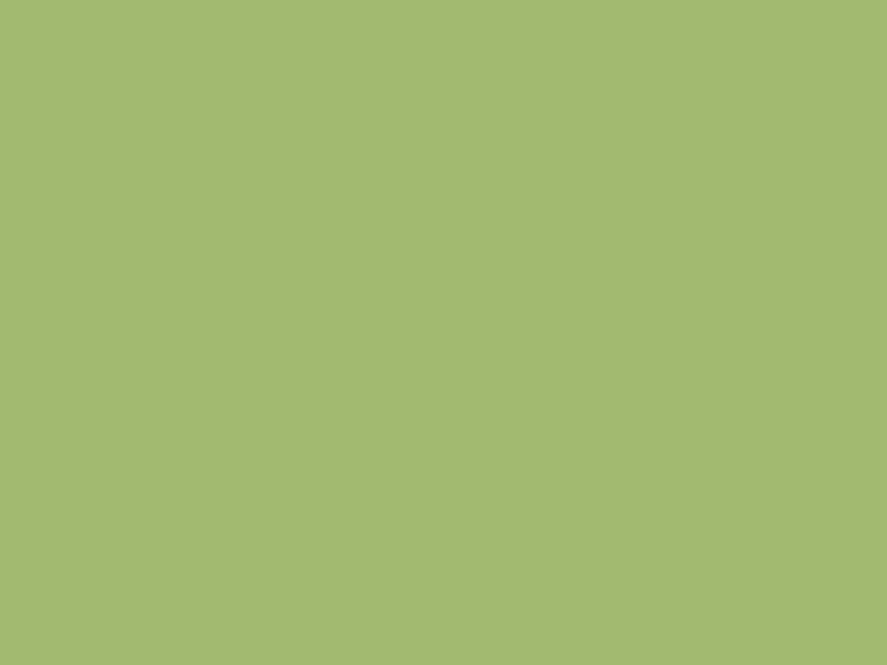 #A2BA6F color image