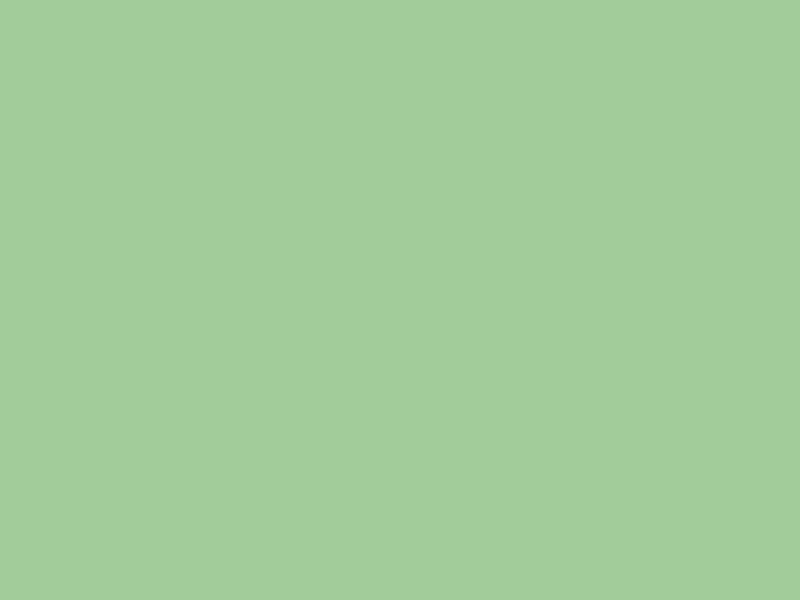 #A2CC9A color image