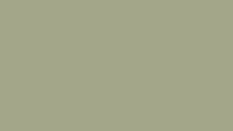 #A3A689 color image