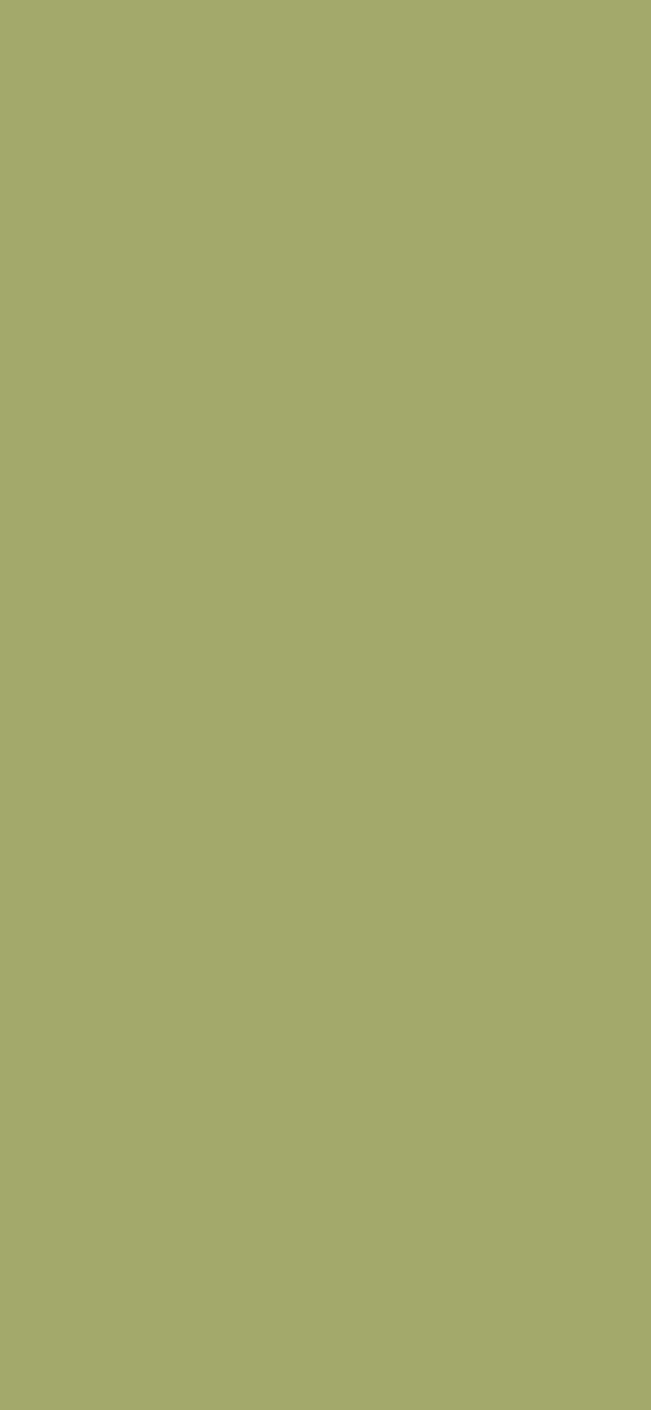 #A3A96A color image