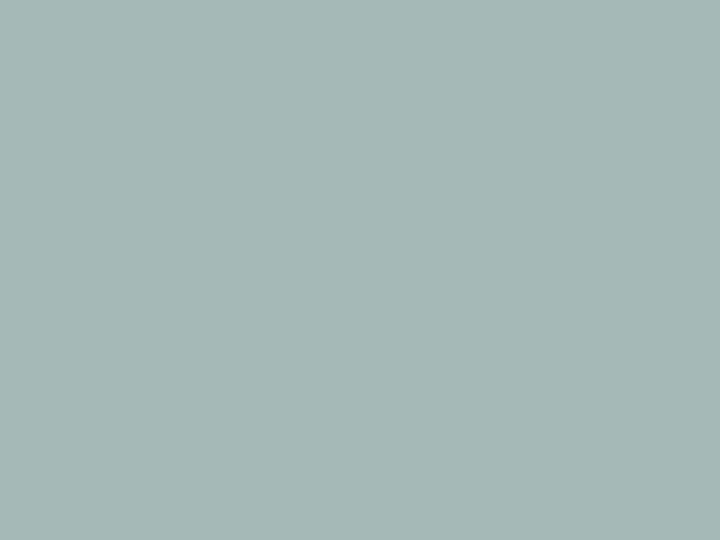 #A3B8B3 color image