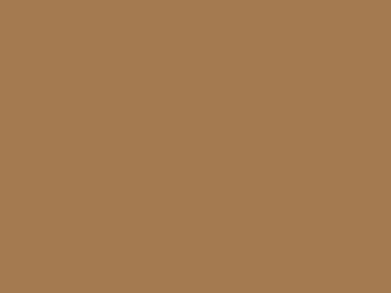 #A47B4F color image