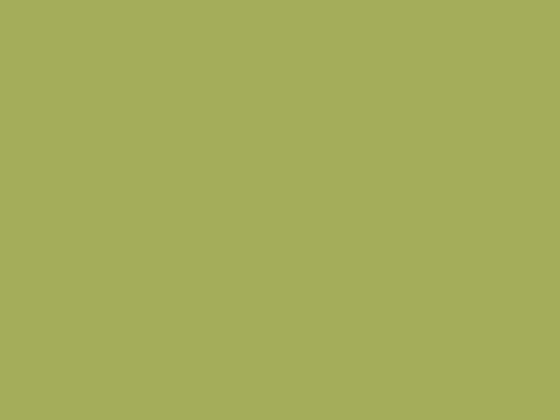 #A4AE5A color image