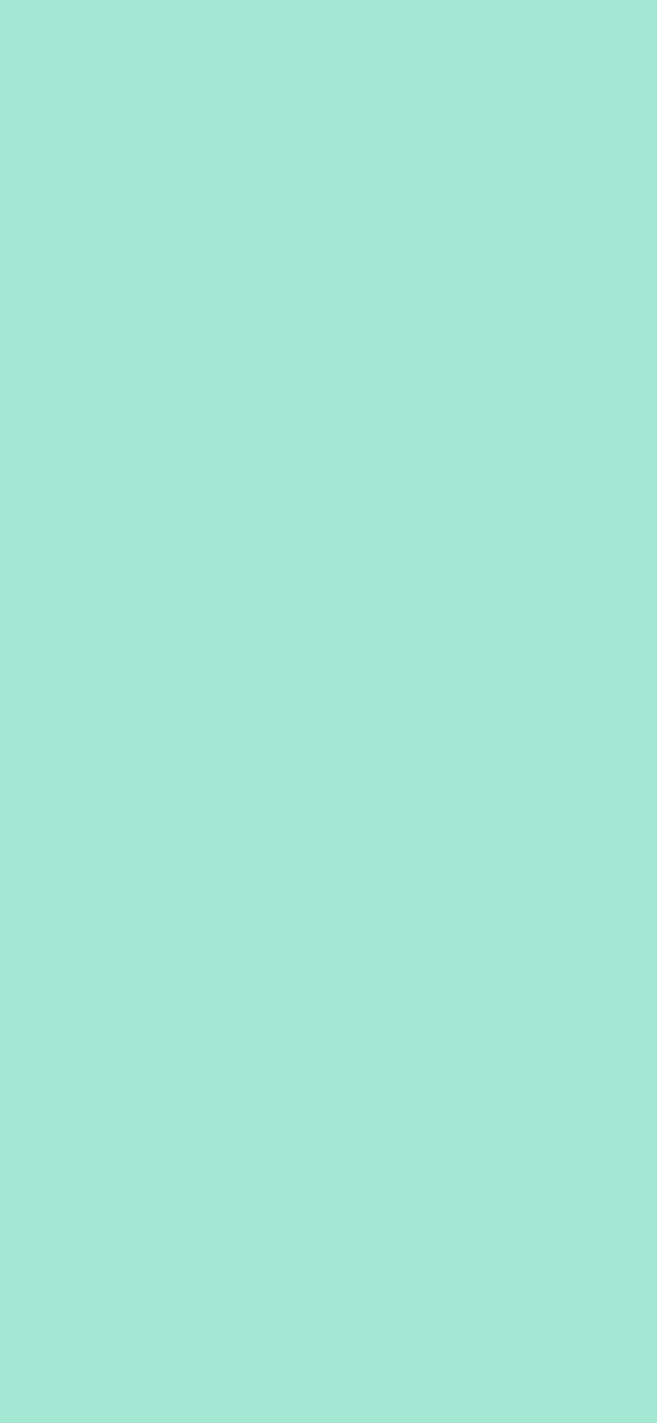 #A4E7D2 color image