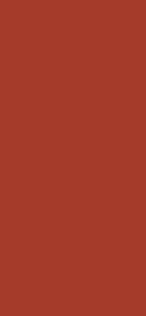 #A53B2A color image